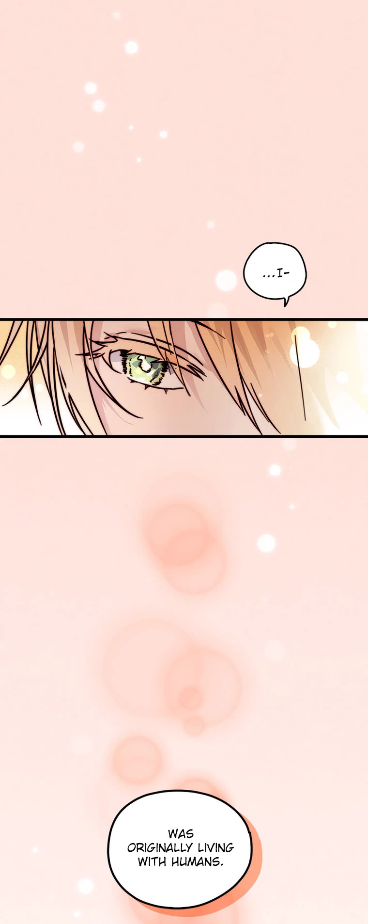 Cats Own the World chapter 190 page 7