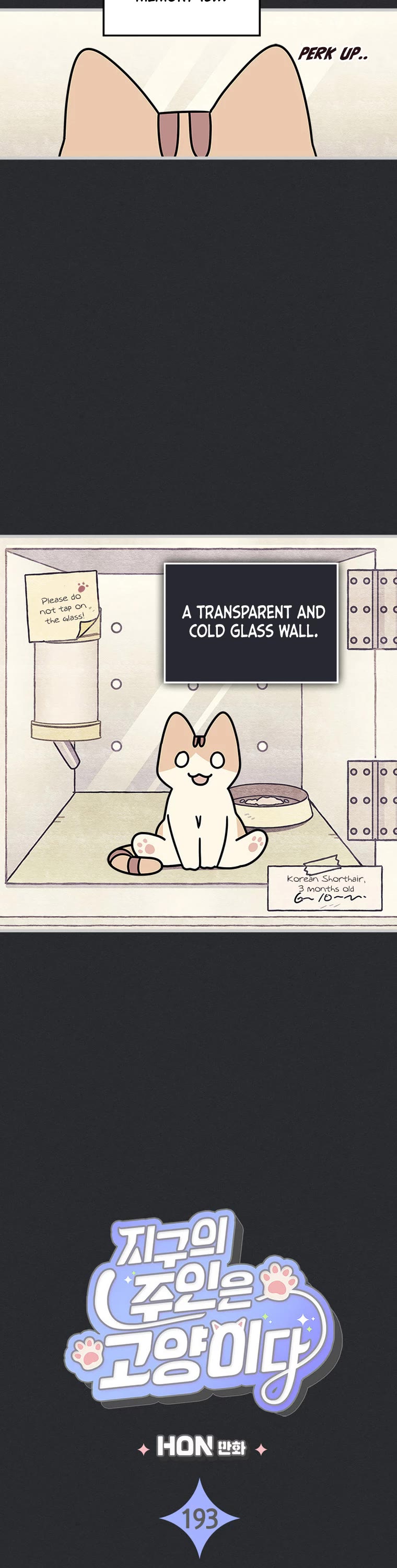 Cats Own the World chapter 193 page 3