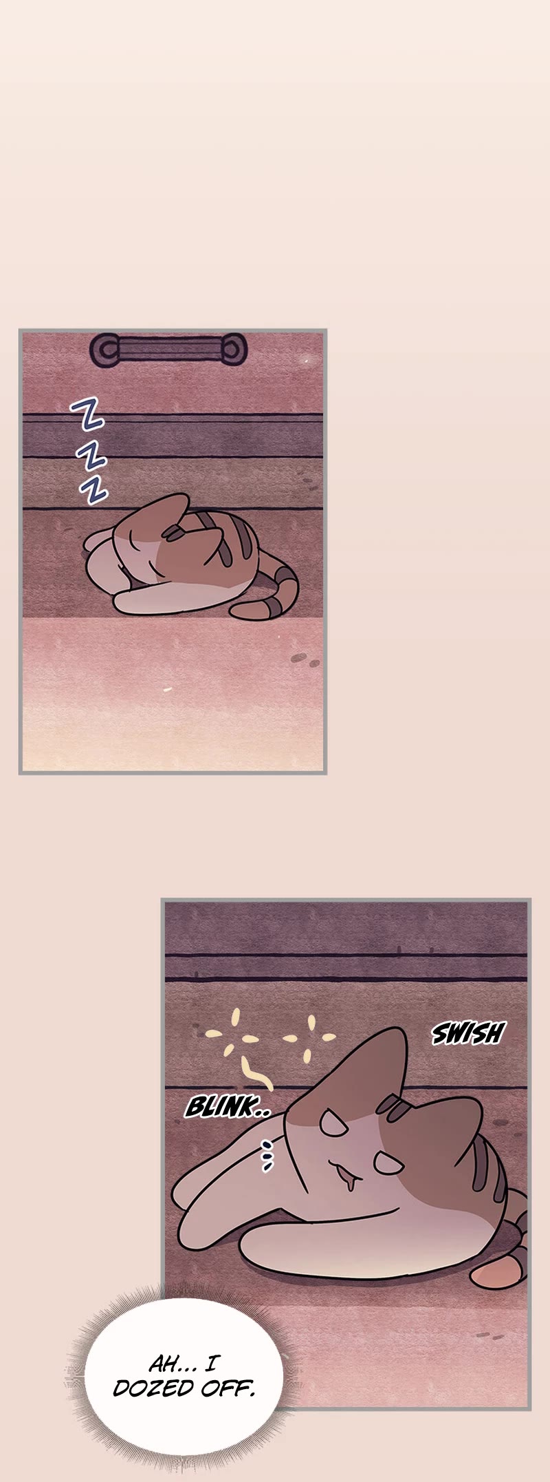 Cats Own the World chapter 194 page 8