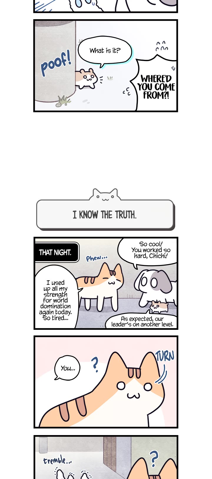 Cats Own the World chapter 20 page 4