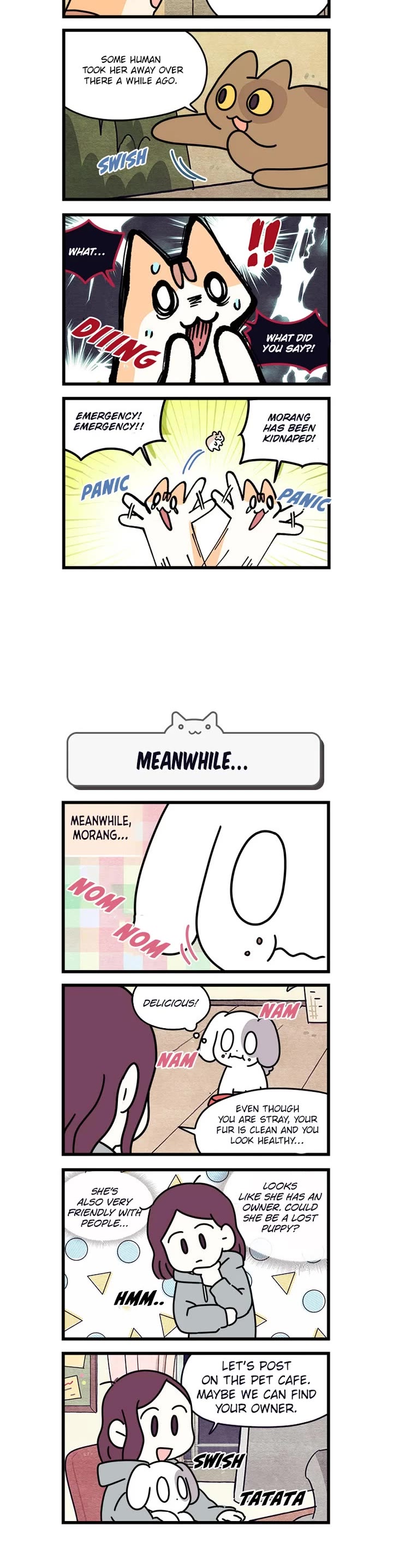 Cats Own the World chapter 200 page 3