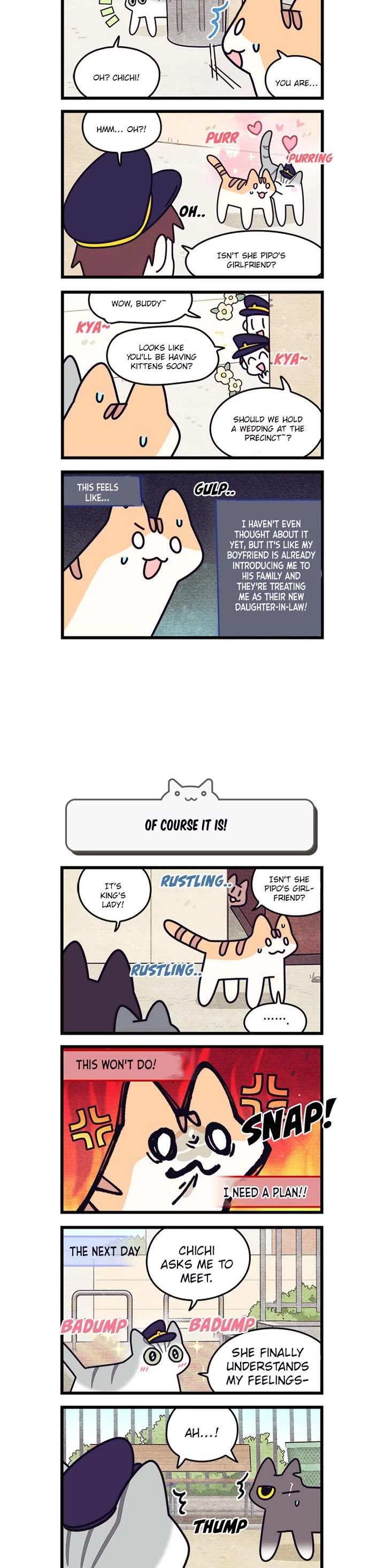 Cats Own the World chapter 205 page 3
