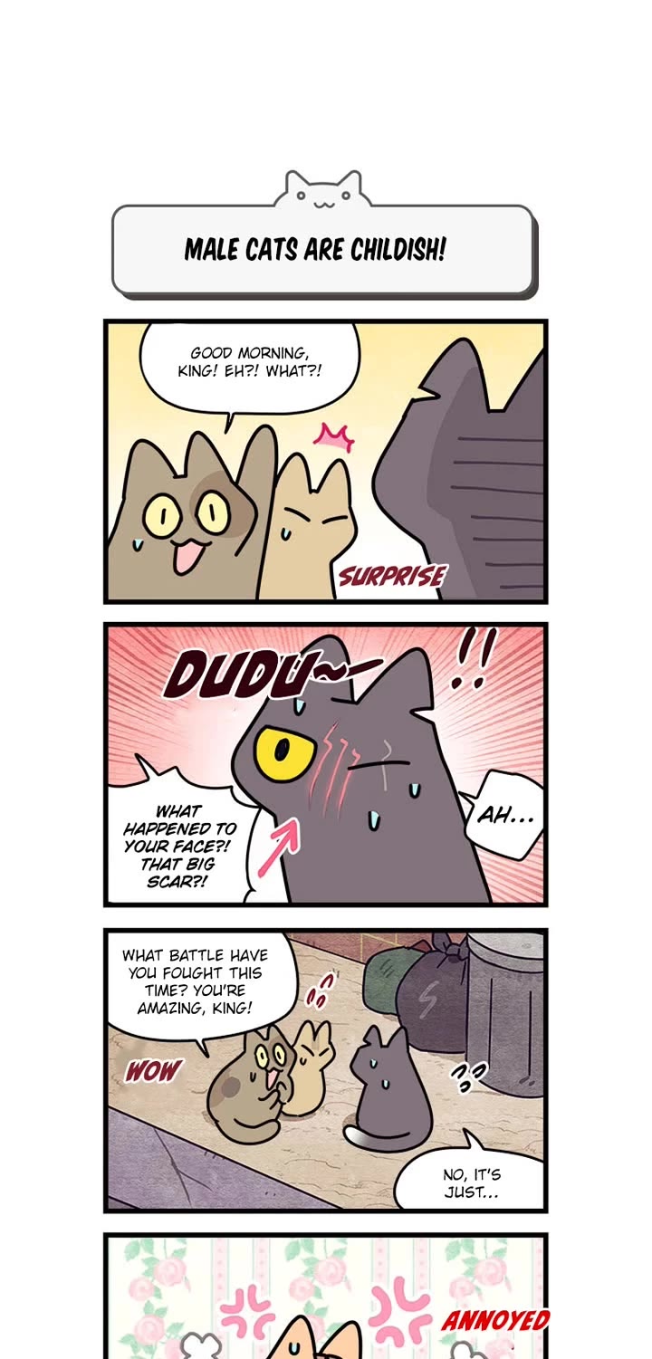 Cats Own the World chapter 206 page 6