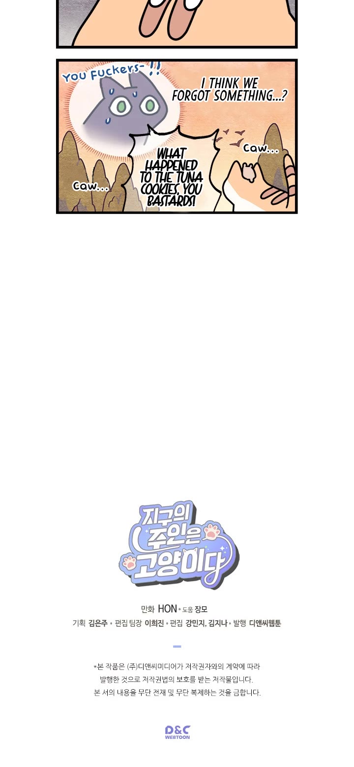 Cats Own the World chapter 34 page 6