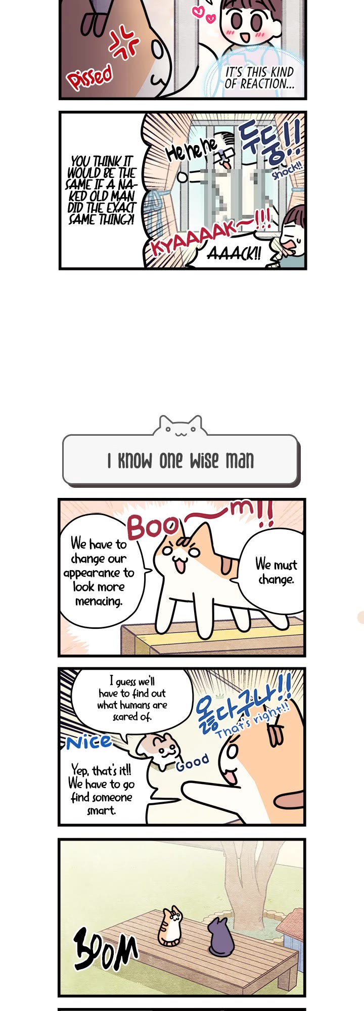 Cats Own the World chapter 35 page 3