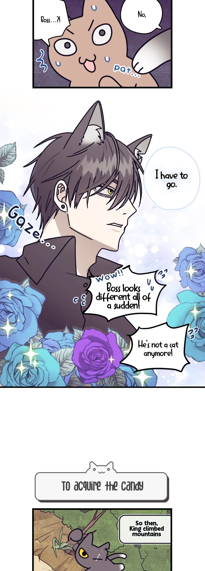 Cats Own the World chapter 37 page 4