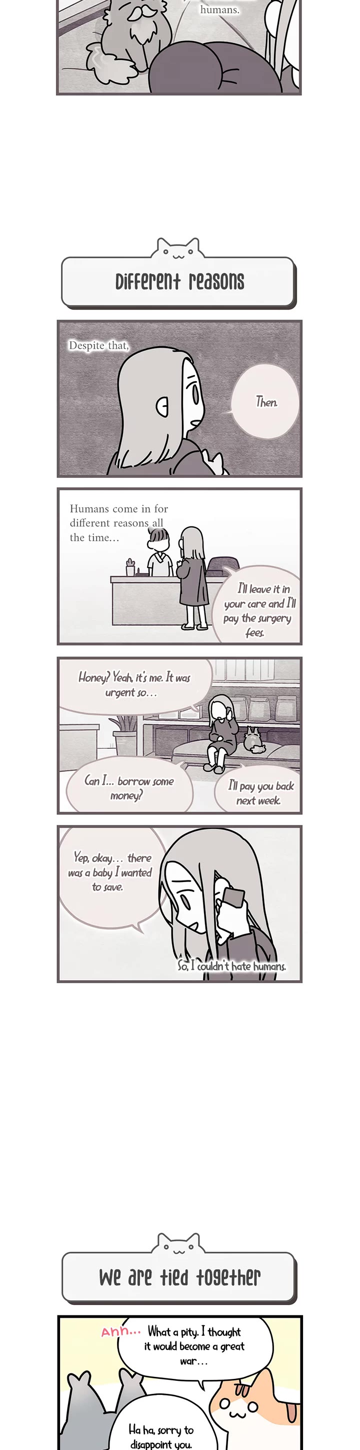 Cats Own the World chapter 46 page 3