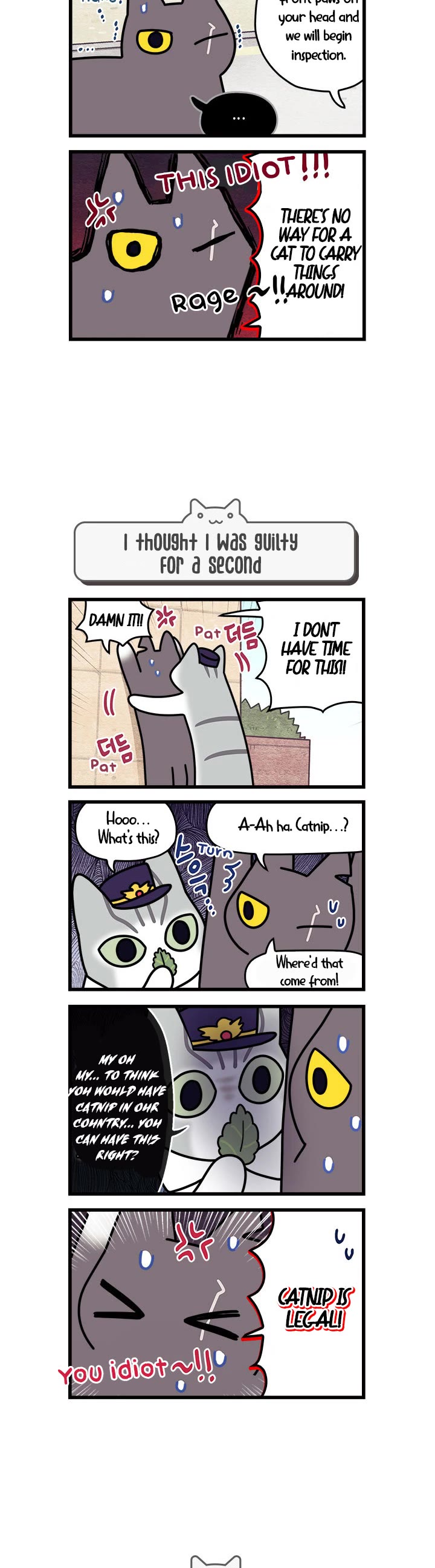 Cats Own the World chapter 55 page 3