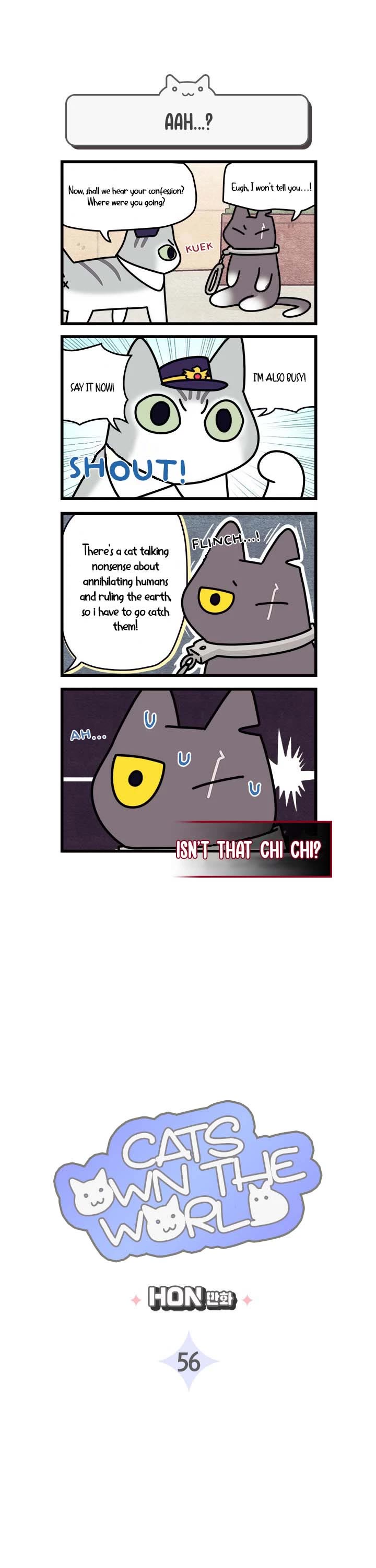 Cats Own the World chapter 56 page 1
