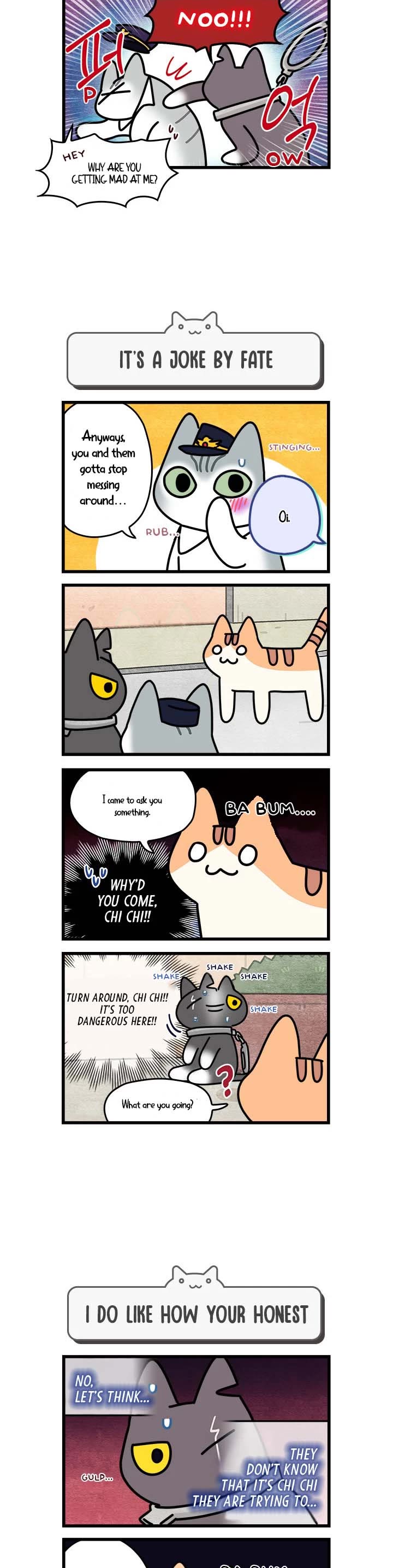 Cats Own the World chapter 56 page 3