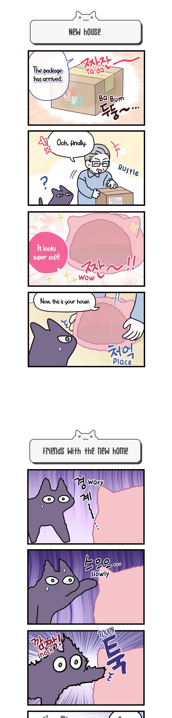 Cats Own the World chapter 57 page 2