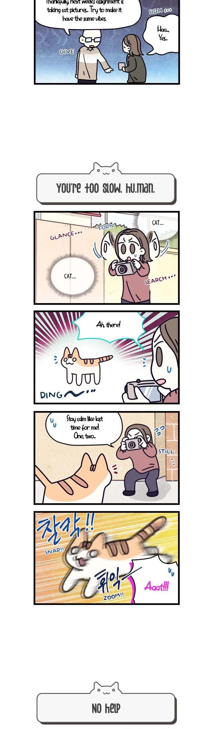 Cats Own the World chapter 60 page 3