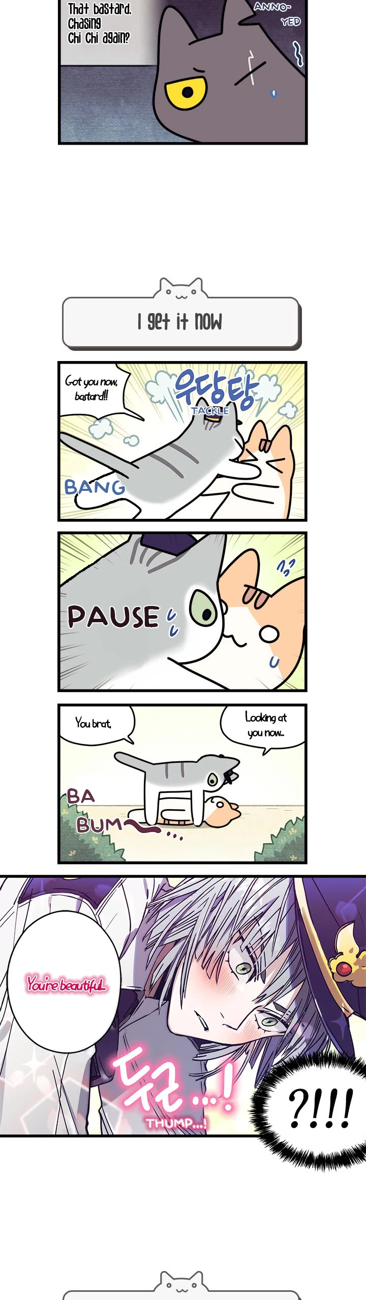 Cats Own the World chapter 61 page 3