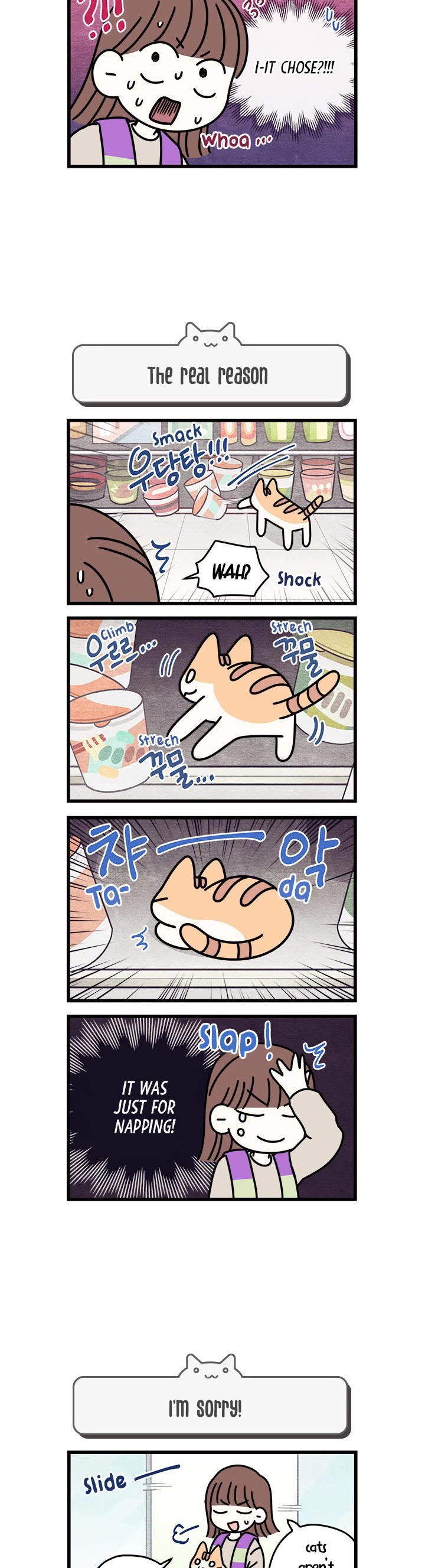 Cats Own the World chapter 63 page 3