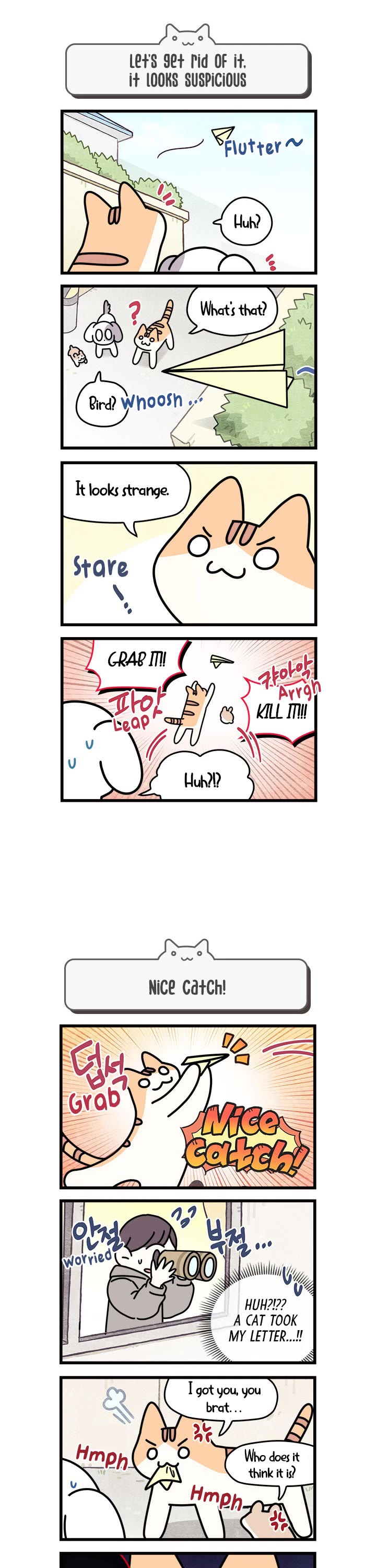 Cats Own the World chapter 70 page 2