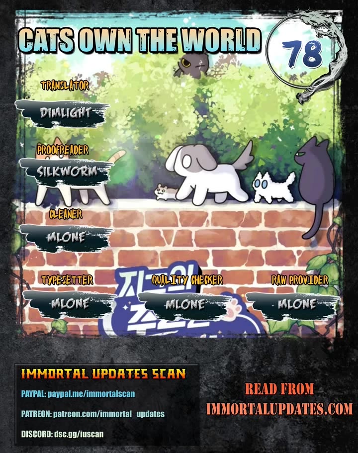 Cats Own the World chapter 78 page 1
