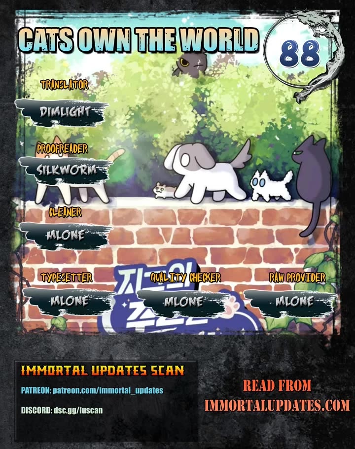 Cats Own the World chapter 88 page 1
