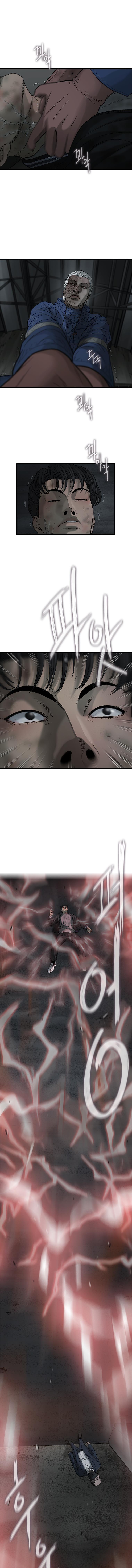 Cell chapter 41 page 14