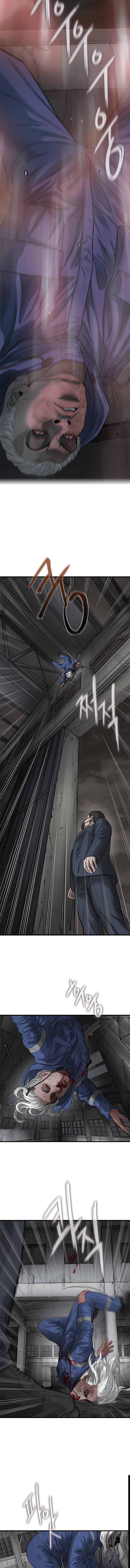 Cell chapter 41 page 15