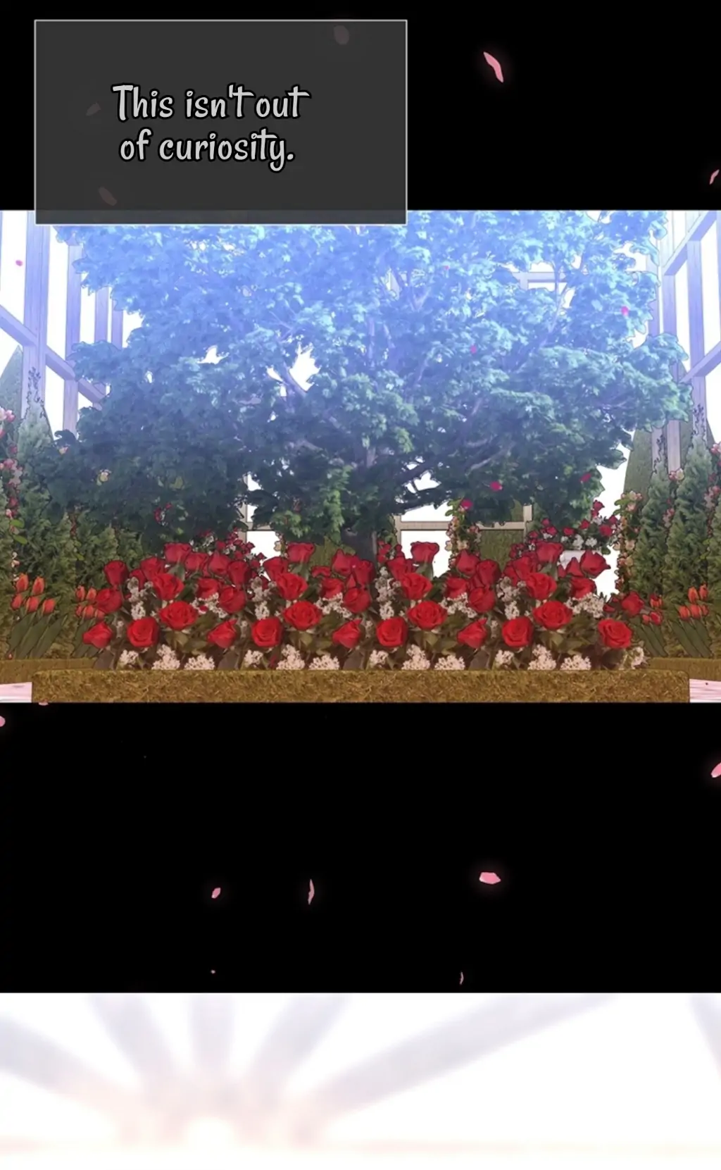 Charlotte Has Five Disciples chapter 137 page 32