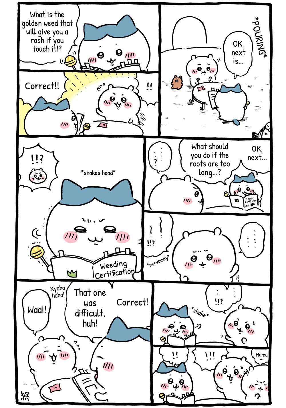 Chiikawa: Nanka Chiisakute Kawaii Yatsu chapter 28 page 3