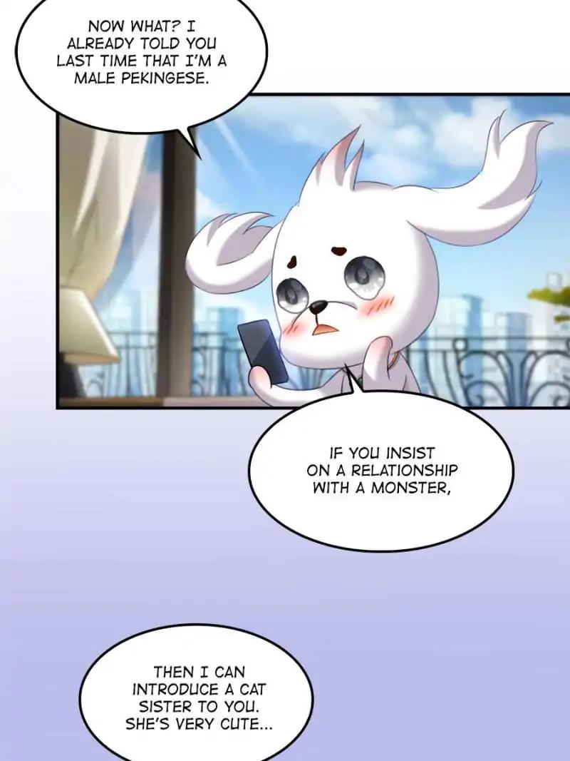 Cultivation Chat Group chapter 142 page 3