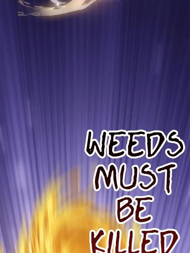 Cultivation Chat Group chapter 38 page 47