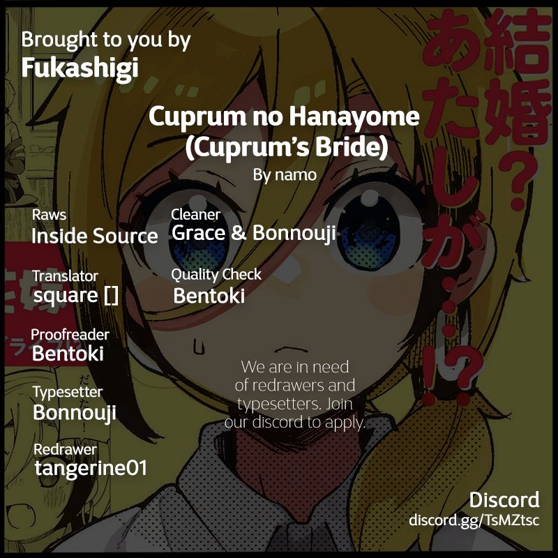 Cuprum's Bride chapter 2 page 29