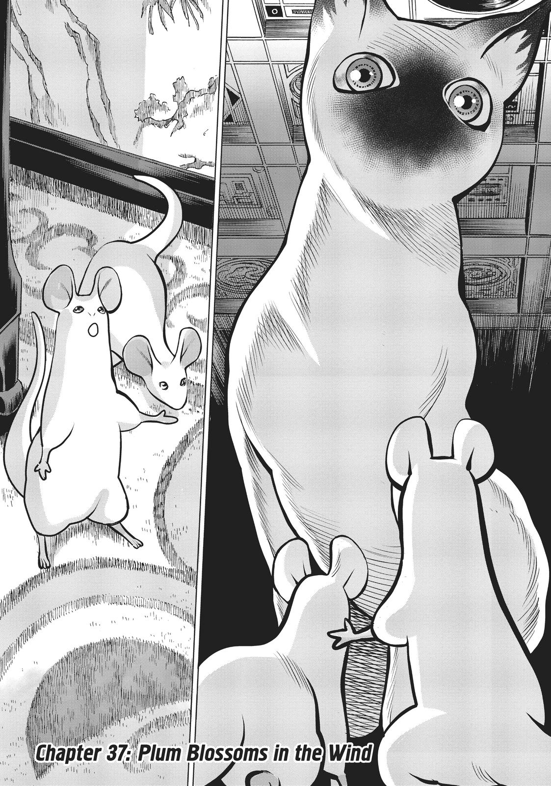 Dance in the Vampire Bund A.S.O. chapter 37 page 2