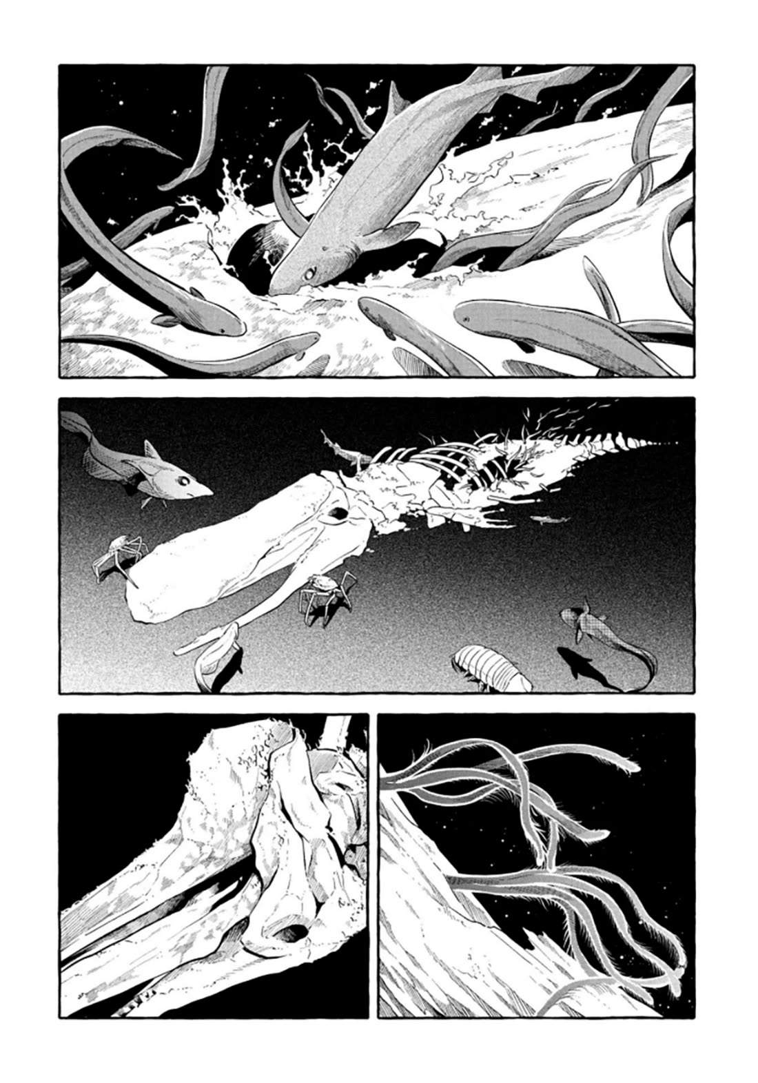 Deep Sea Aquarium Magmell chapter 52 page 24