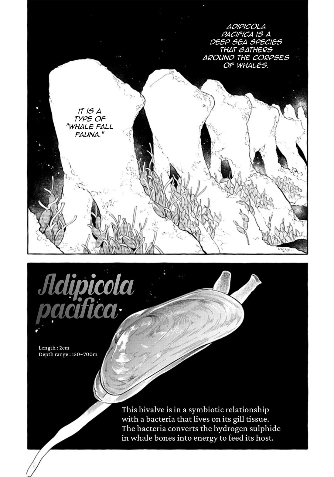 Deep Sea Aquarium Magmell chapter 52 page 37