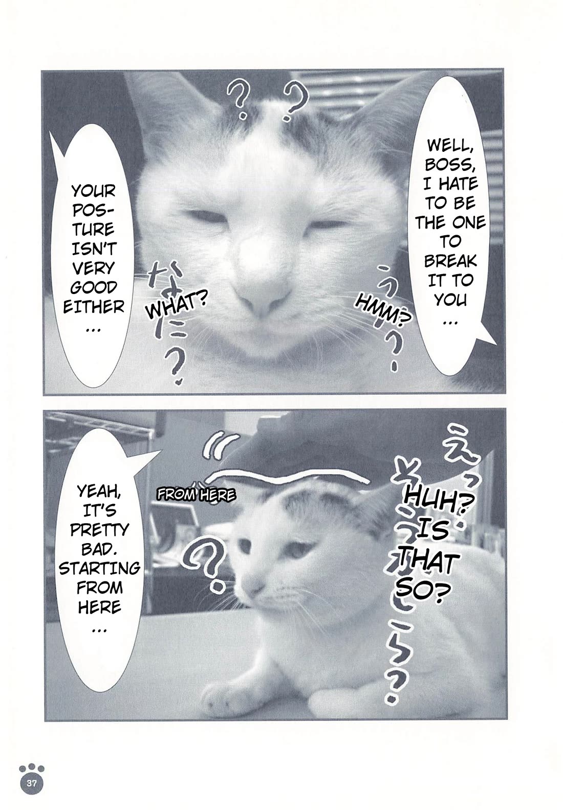 Delinquent President Rena chapter 7 page 2
