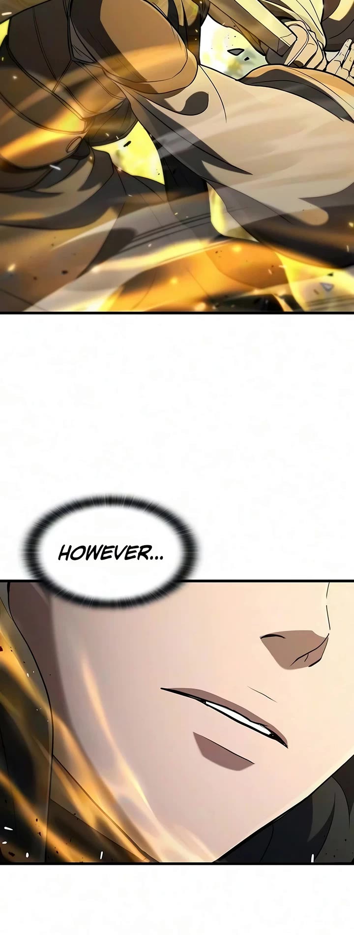 Demonic Beast Hunter Survival Guide chapter 30 page 10