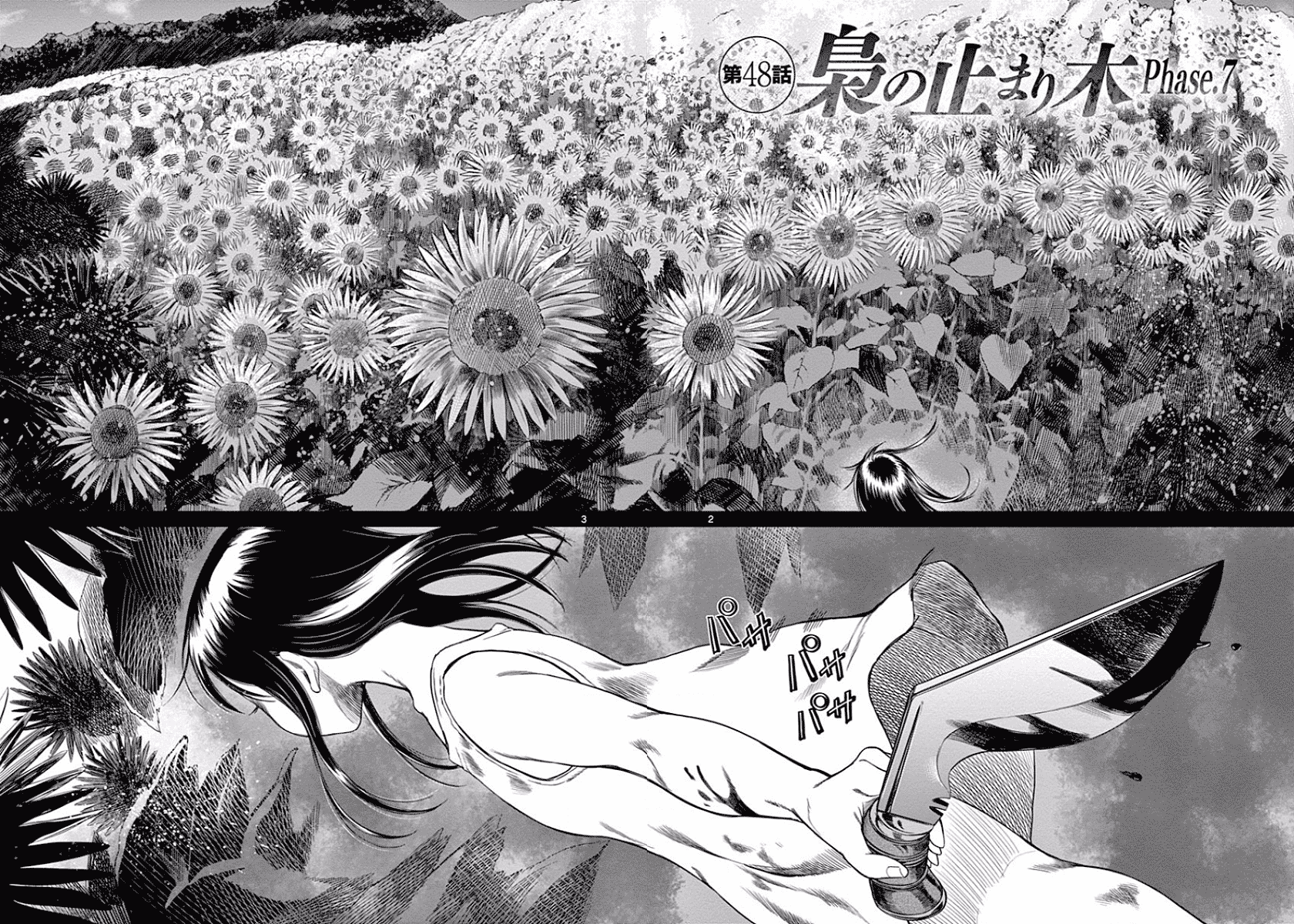 Desutoro 246 chapter 48 page 3