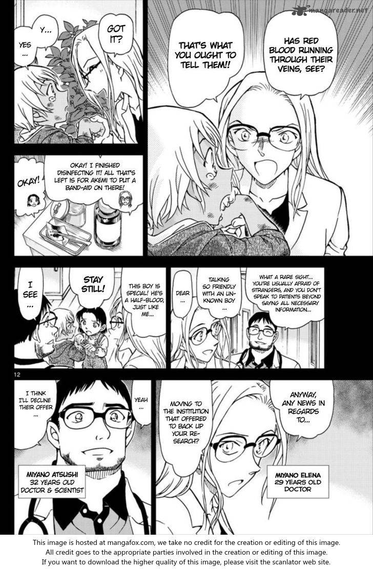 Detective Conan chapter 1011 page 12