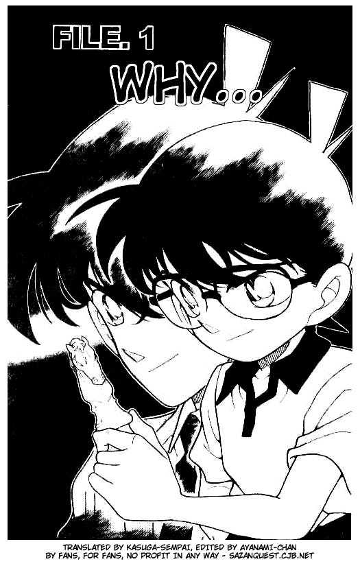Detective Conan chapter 181 page 1