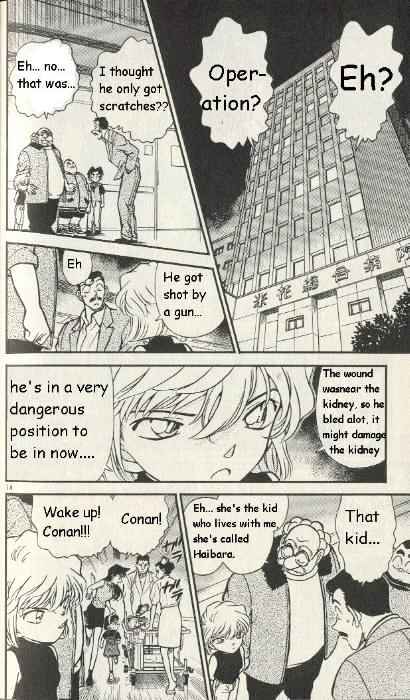 Detective Conan chapter 253 page 14