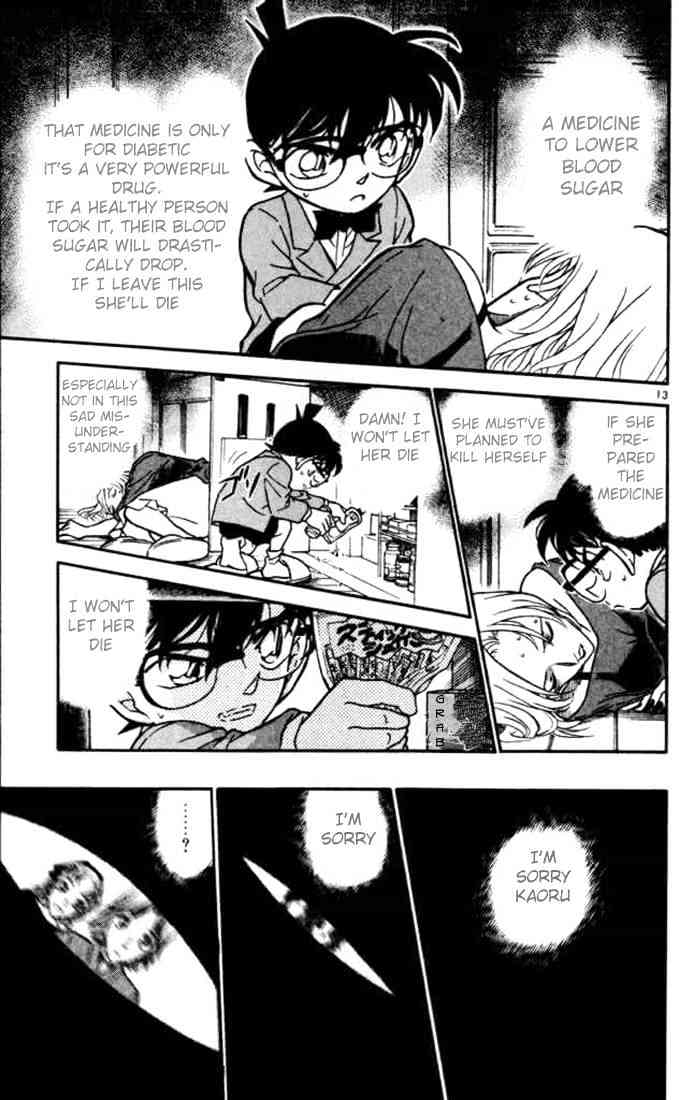 Detective Conan chapter 324 page 13
