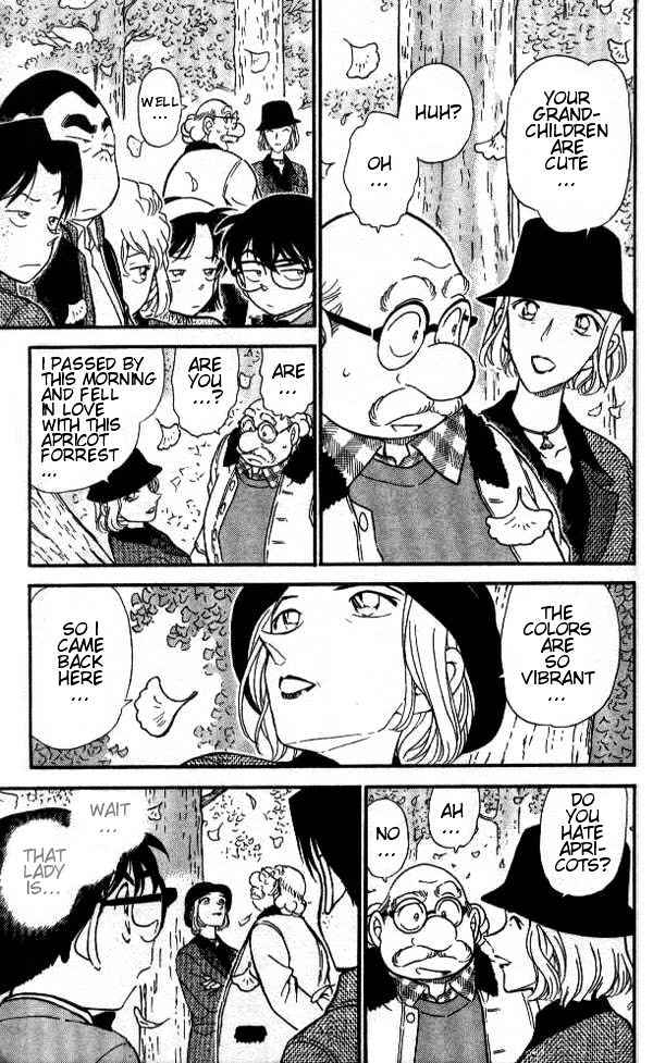 Detective Conan chapter 412 page 13