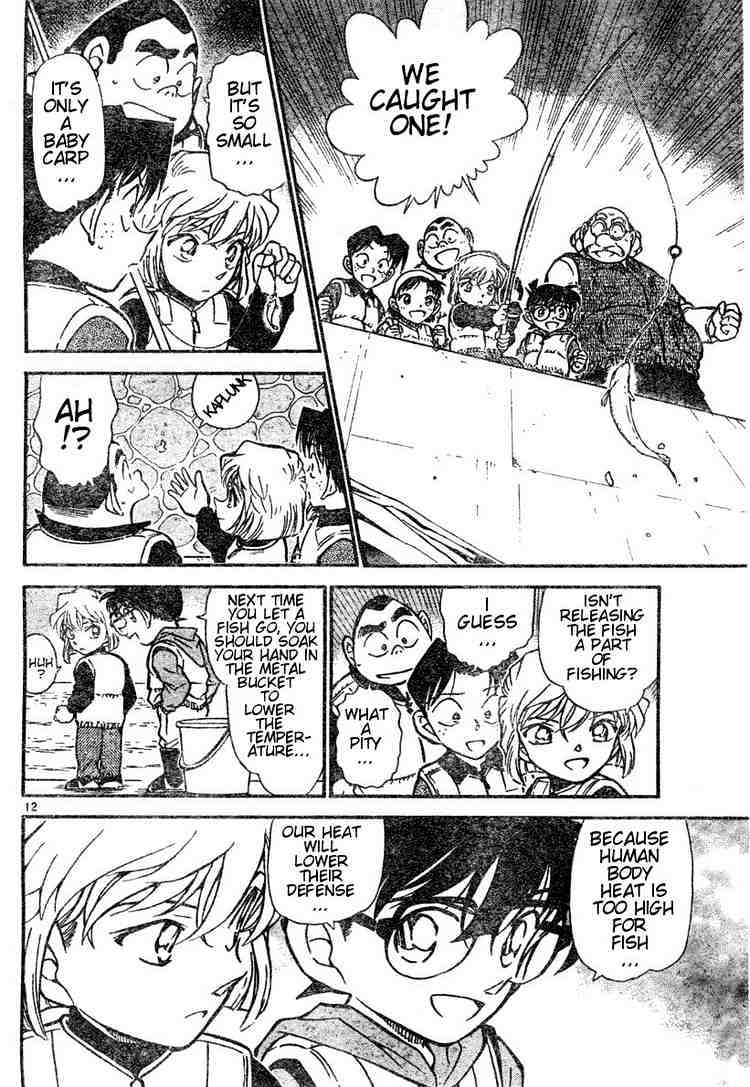 Detective Conan chapter 460 page 12