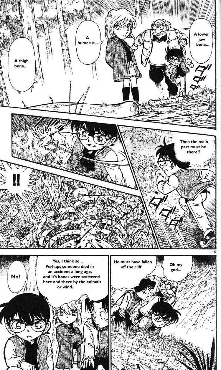 Detective Conan chapter 466 page 15