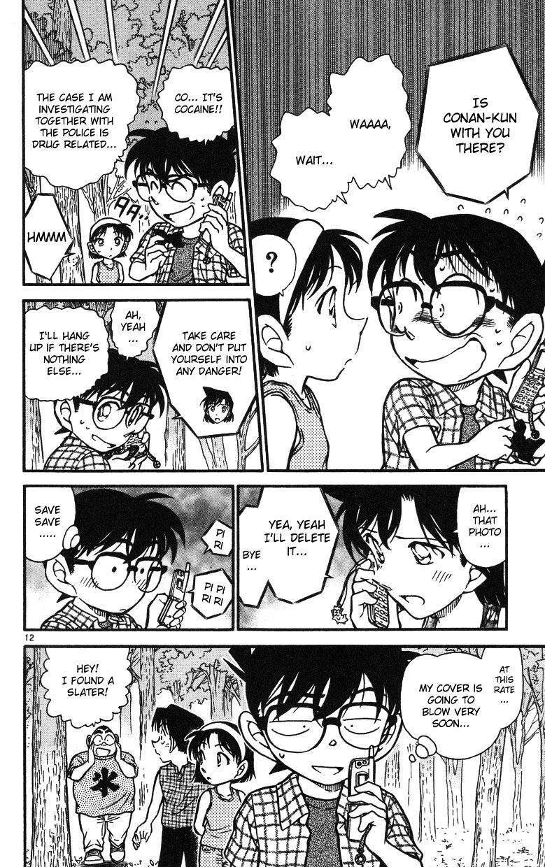 Detective Conan chapter 491 page 12