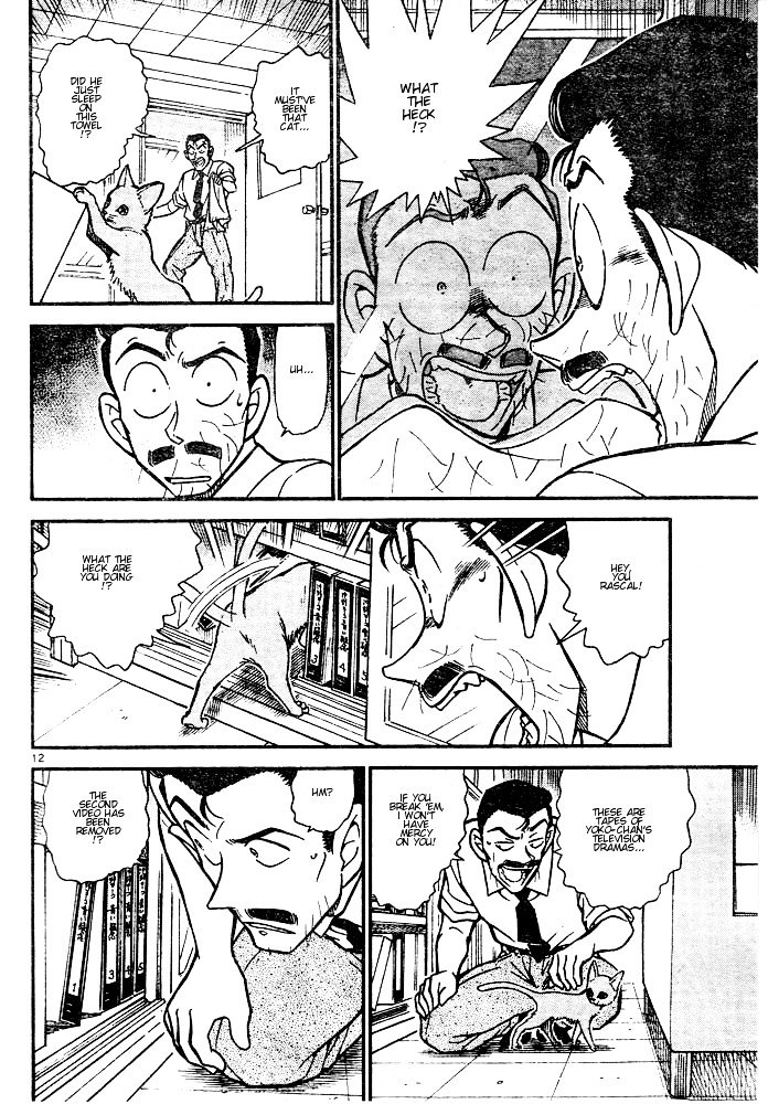 Detective Conan chapter 528 page 12