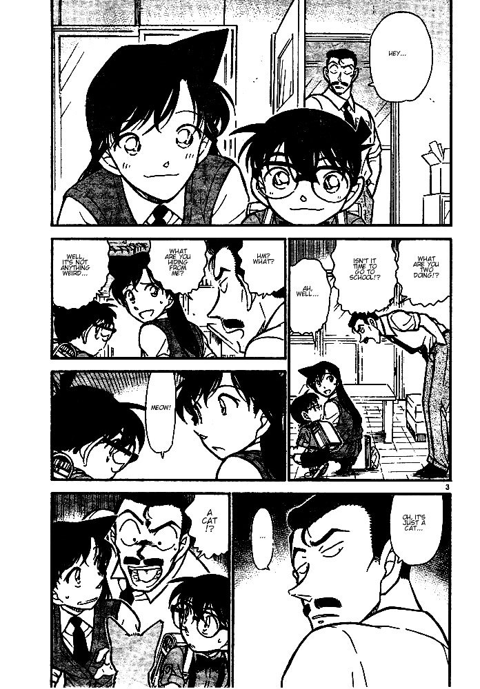 Detective Conan chapter 528 page 3