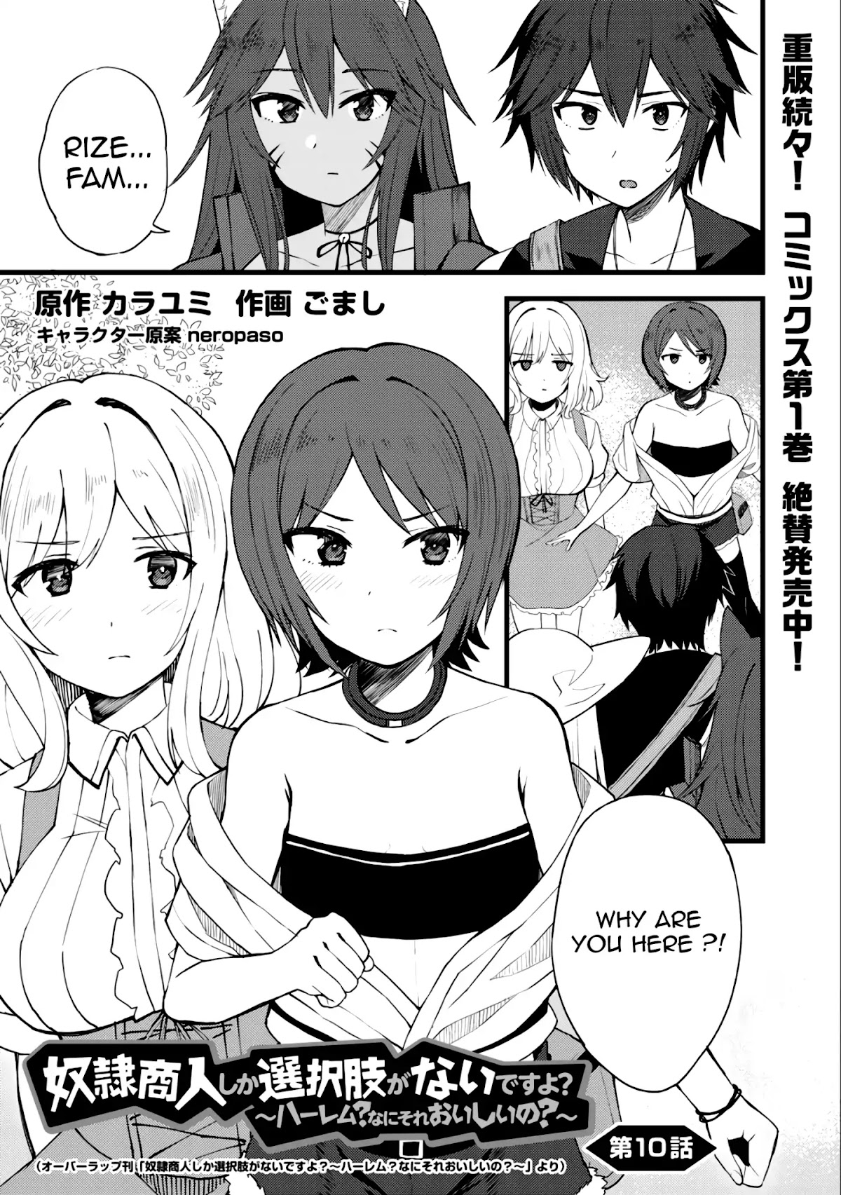 Dorei Shounin Shika Sentakushi Ga Nai desu Yo? ~Harem? Nani sore oishii no?~ chapter 10 page 2