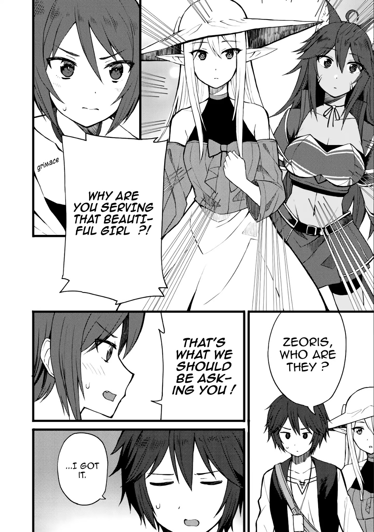 Dorei Shounin Shika Sentakushi Ga Nai desu Yo? ~Harem? Nani sore oishii no?~ chapter 10 page 5