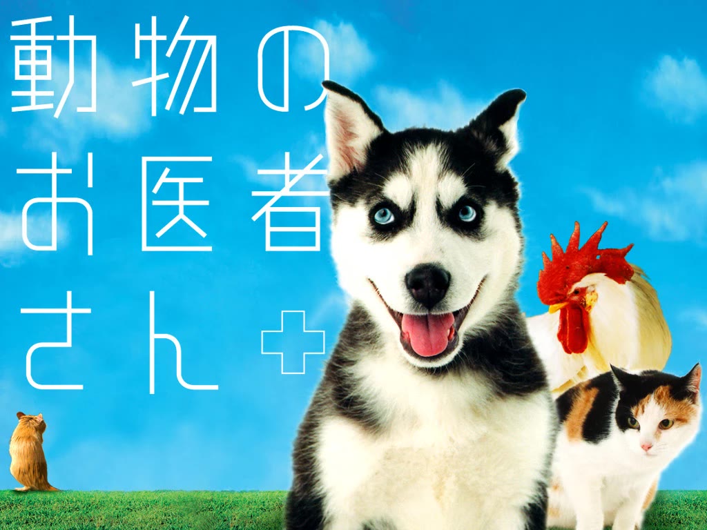 Doubutsu no Oishasan chapter 119 page 32