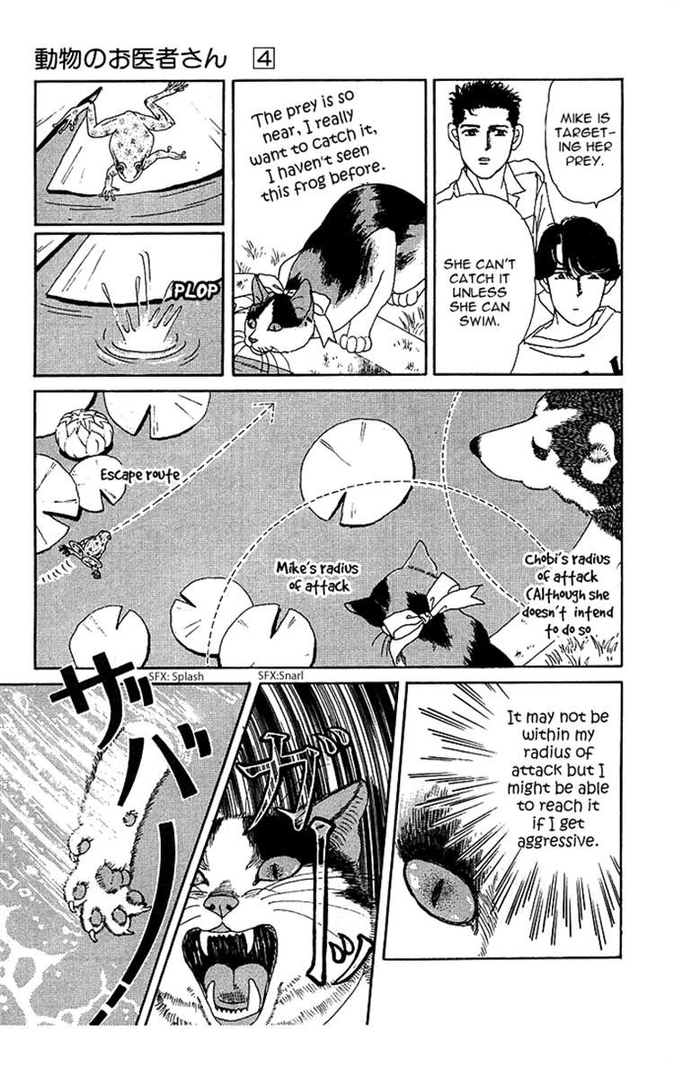 Doubutsu no Oishasan chapter 38 page 13