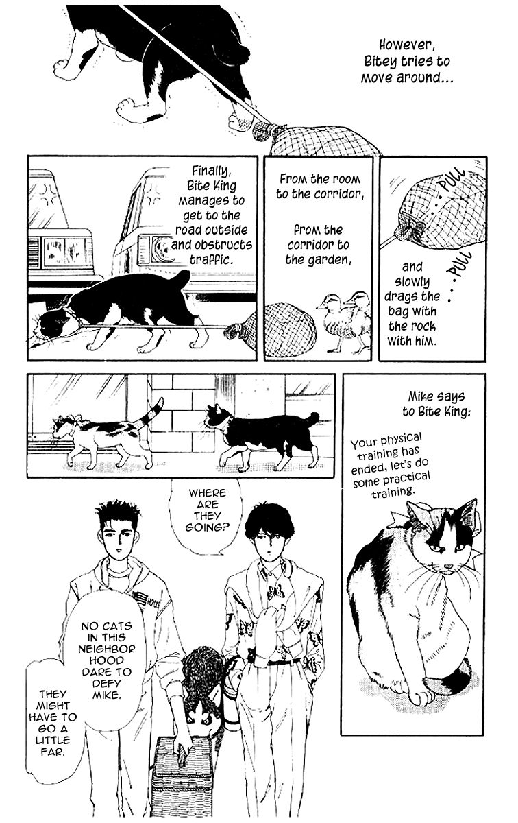 Doubutsu no Oishasan chapter 50 page 12