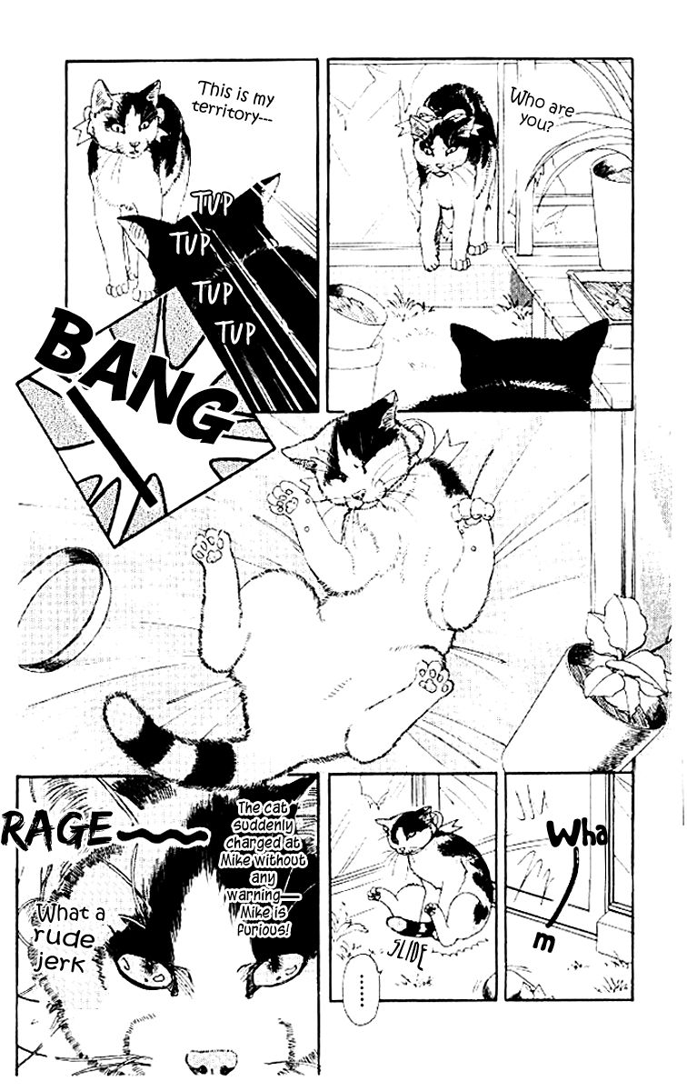 Doubutsu no Oishasan chapter 50 page 4